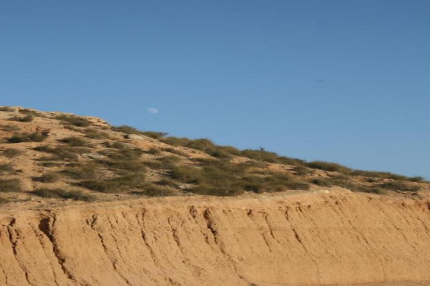 Atico Tommy McDonnell - foto 38