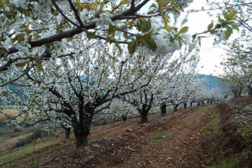 Wohnung in Sotoserrano mit Terrasse und Garten - foto 15