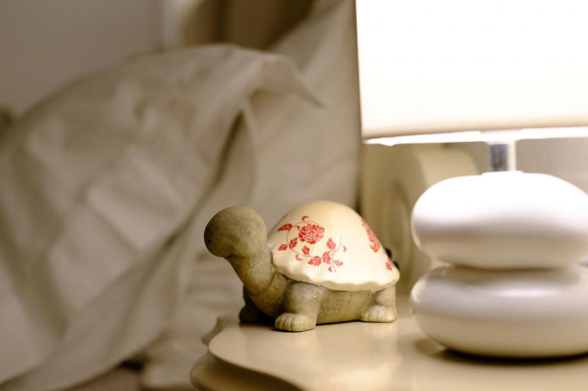 Wohnung im historischen Zentrum - foto 12