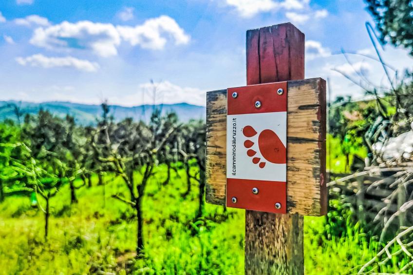 Velia's House - foto 17