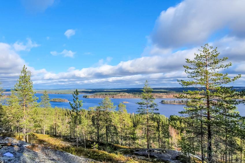 Villa savonia - foto 46