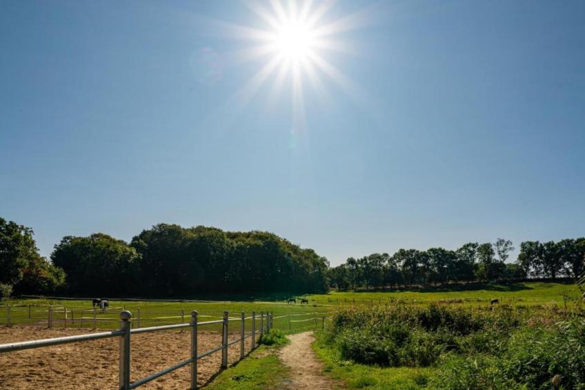 "Gartenblick" bei Gerdshagen - foto 28