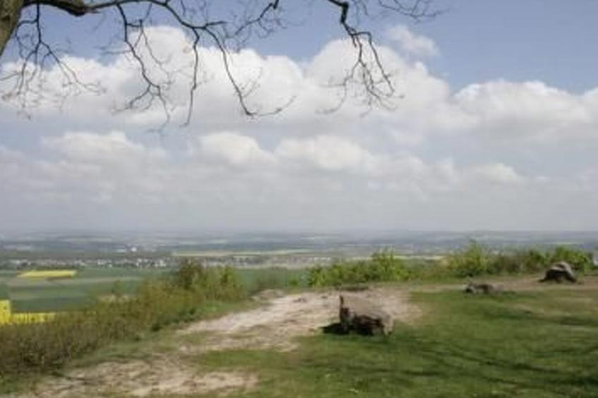 Zum Mensfelder Kopf - foto 33