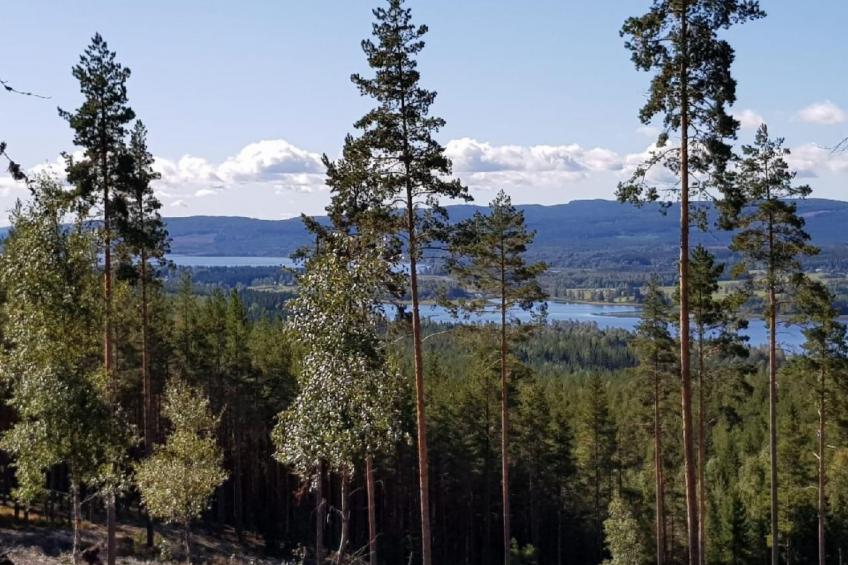 Haus Gård Solhag - foto 25