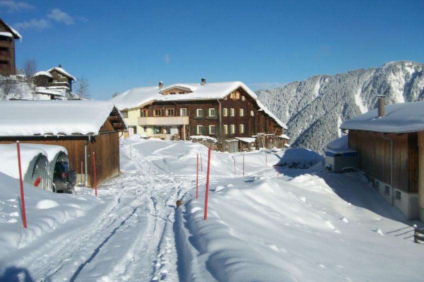 BioHof Casutt, Tenna, (Tenna), 06002B - foto 12