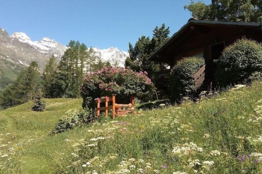 'Lo Chalet' der Balkon über dem Matterhorntal - foto 32