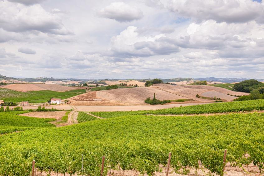 Il Poggiale-app6 - foto 12