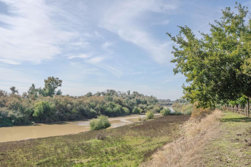 Santa Ángela de la Cruz - foto 38