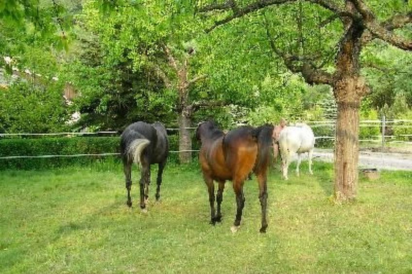 Silberbach II - foto 5