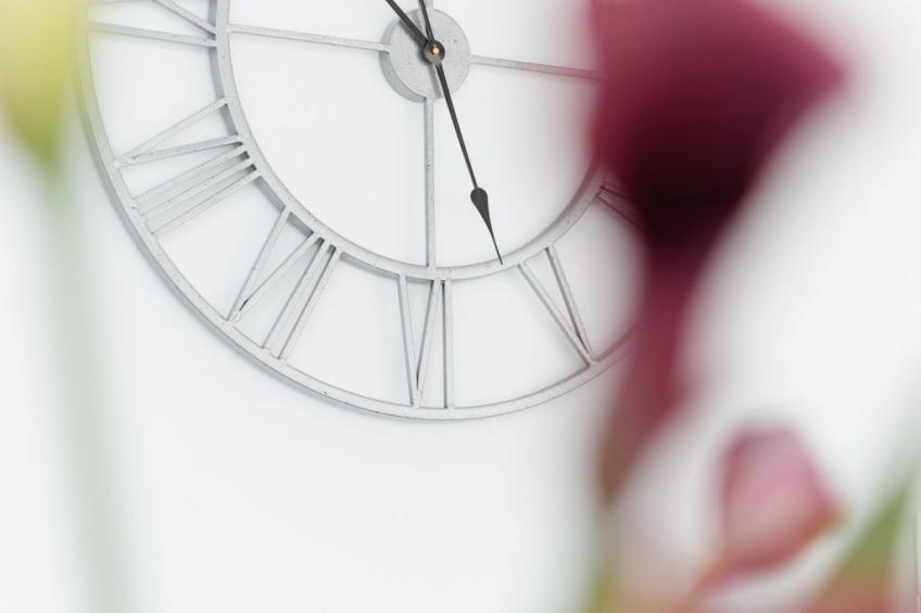 Charmantes Ferienhaus in Vinišće mit Privatem Pool und Meerblick - foto 12