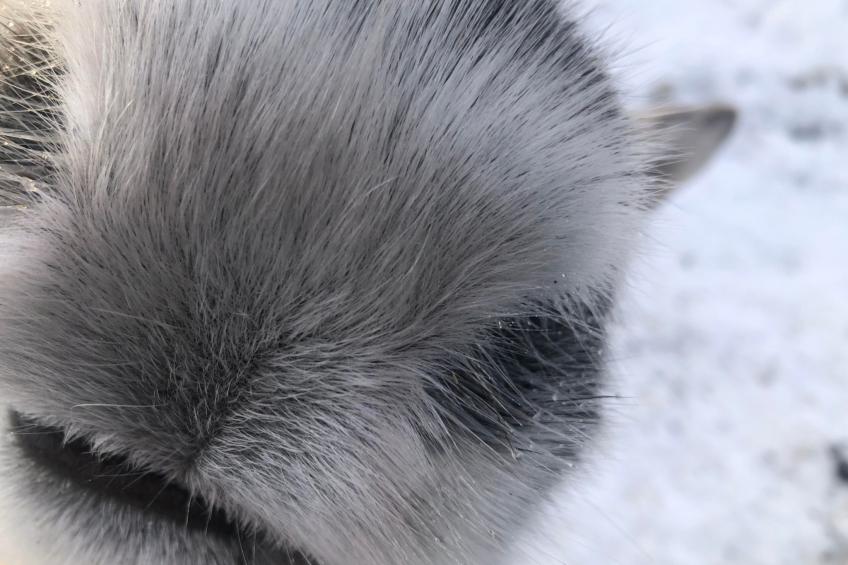 Ölrun Stuga - foto 37