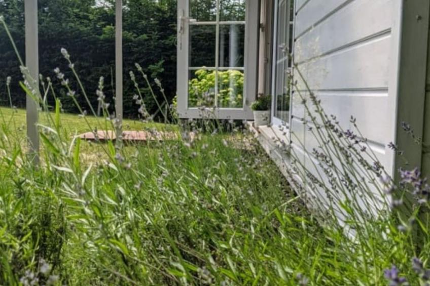 "Ferienhaus GolczaVita" - foto 33