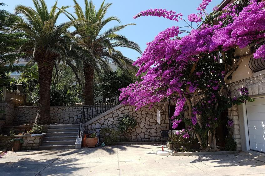 Apartments Nives - One Bedroom Apartment with Terrace - foto 4