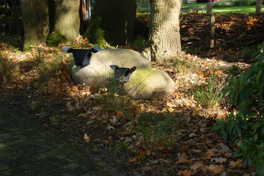 Vogelspotlodge Scholekster - foto 30