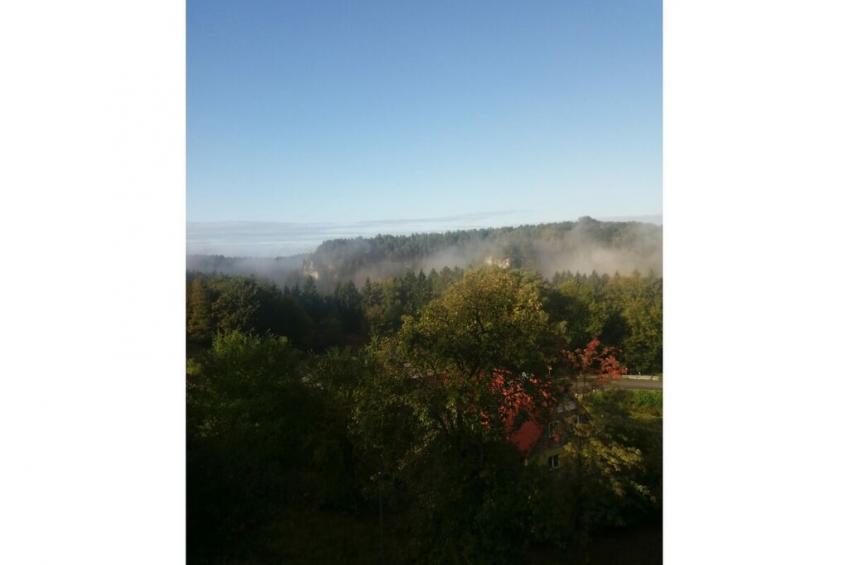 269534 - foto 19