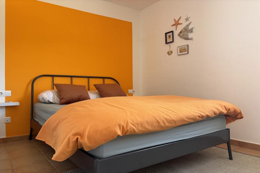 COSSIS 61B - foto 11