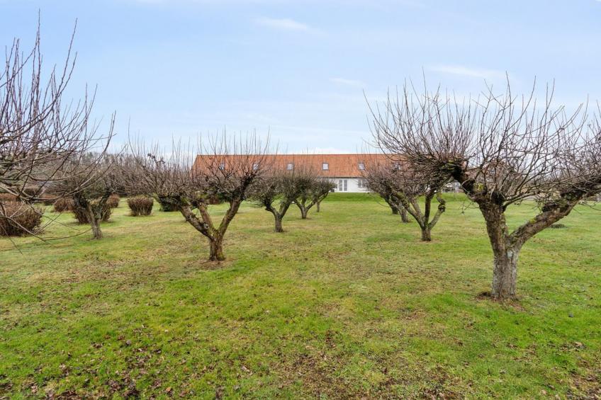 "Markus" - 300m from the sea - foto 9