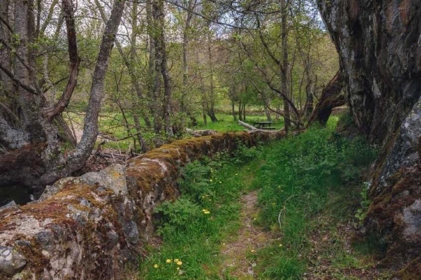 Rural House in the mountain of León - foto 41
