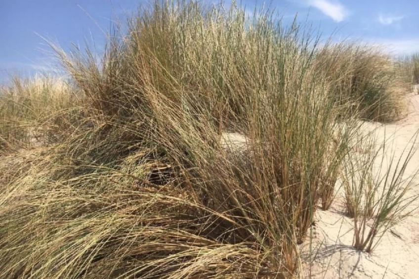 "Apartment 18B" mit Schwimmbad - foto 39