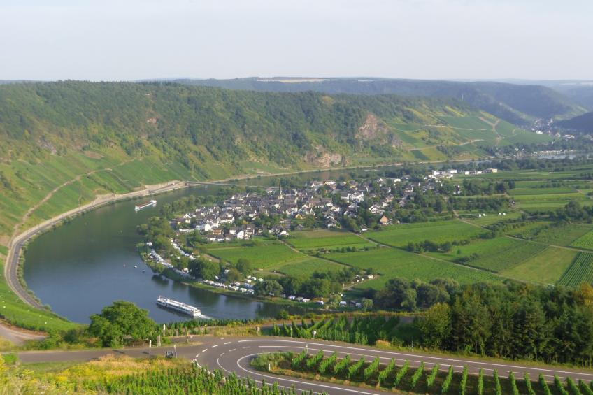Ferien-Weingut Kirch - foto 29