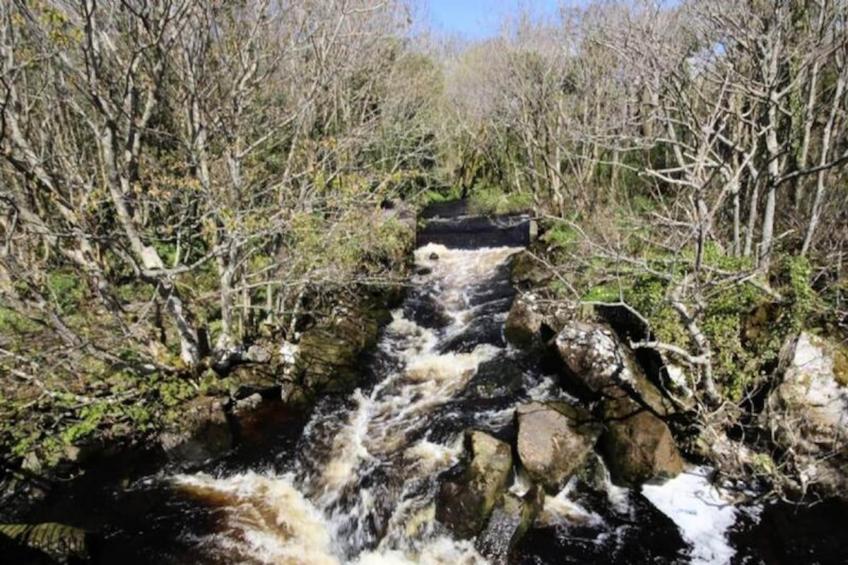 Mobil Home - Bungalow - Cottage à Spiddal Galway - foto 31