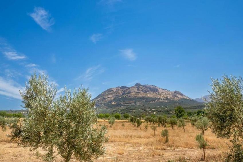 Cortijo Los Alazores - foto 20