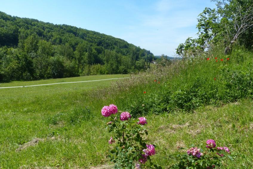 La Ferme des Paons - foto 34