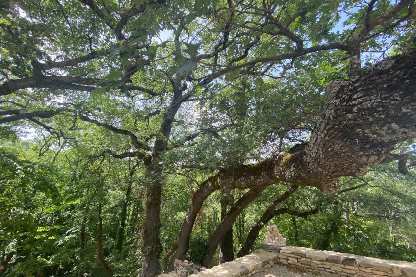 Domaine Santonne - foto 7