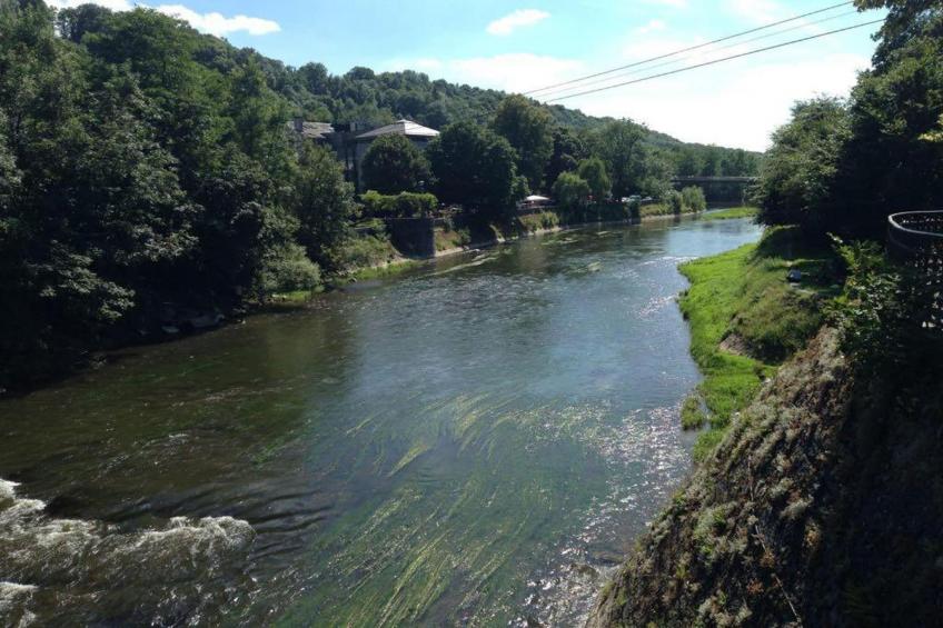 Miss Chloé - foto 38