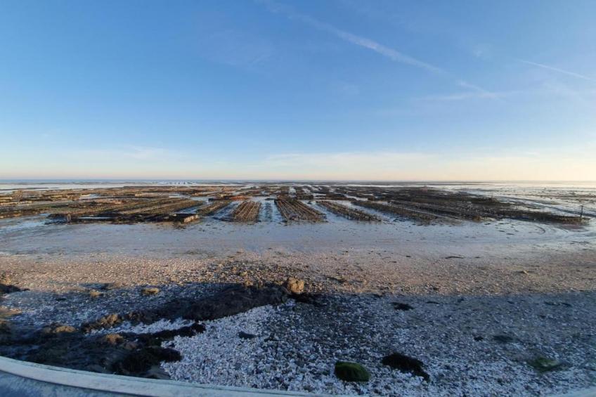 La Vallée - foto 40