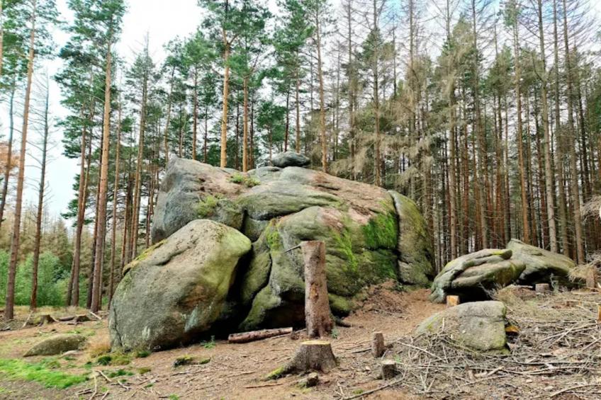 Haus Buchberg - foto 31