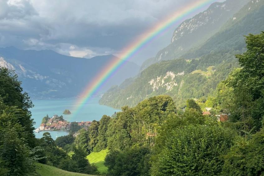 „Seesicht“ - foto 32