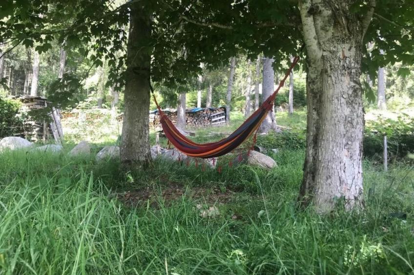 Schluchseehuus - foto 21