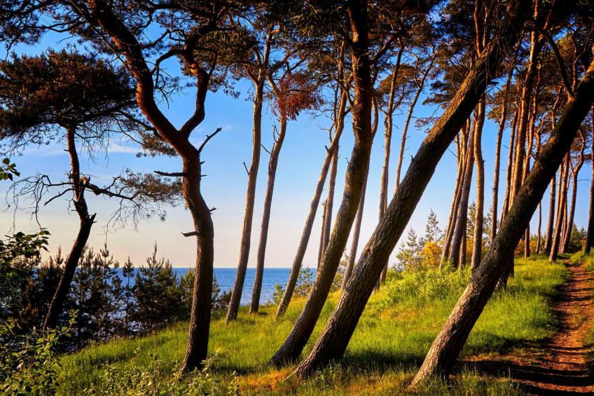 hey Beachvilla - foto 27