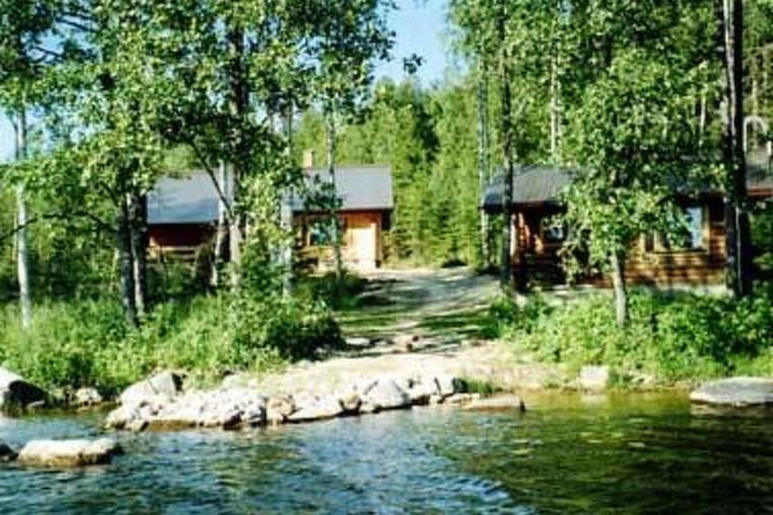 Hevonkuusi - foto 45
