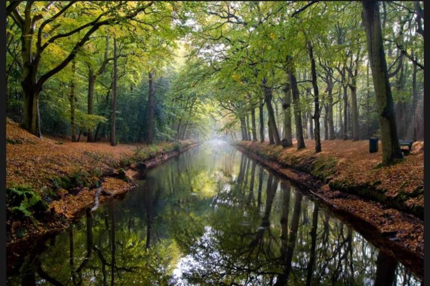 Hof van Craeck II - foto 26