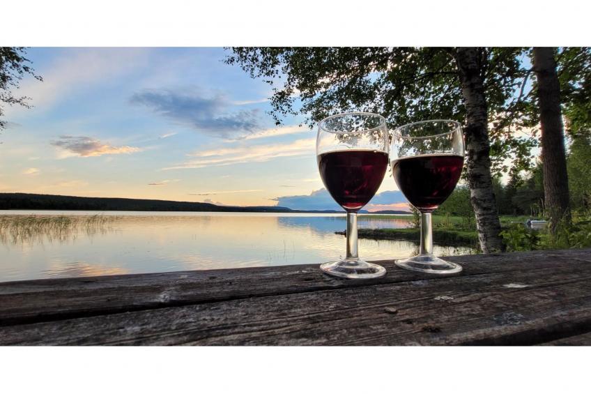 Koivulahden reinola - foto 15