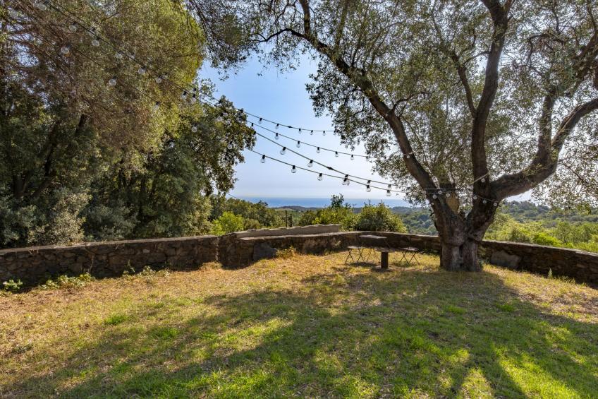 Formicaccia - foto 39