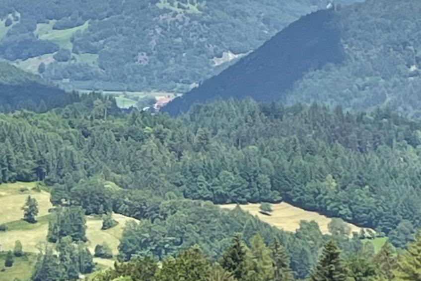 Haus Sonnenschein - foto 32