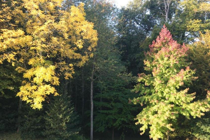 Gite de caractère - foto 34