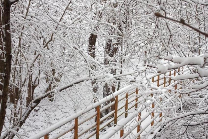 Komfortables Ferienhaus Ewa in Meszna Opacka - foto 48
