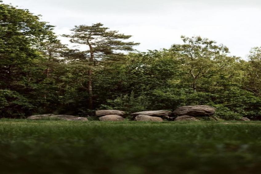 De Weide 4P - foto 38