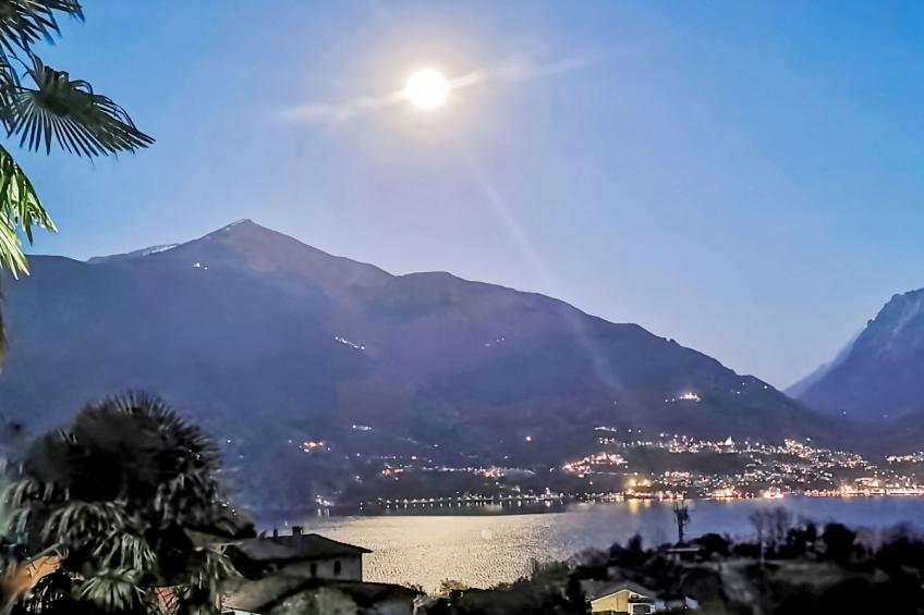 Green House - foto 19