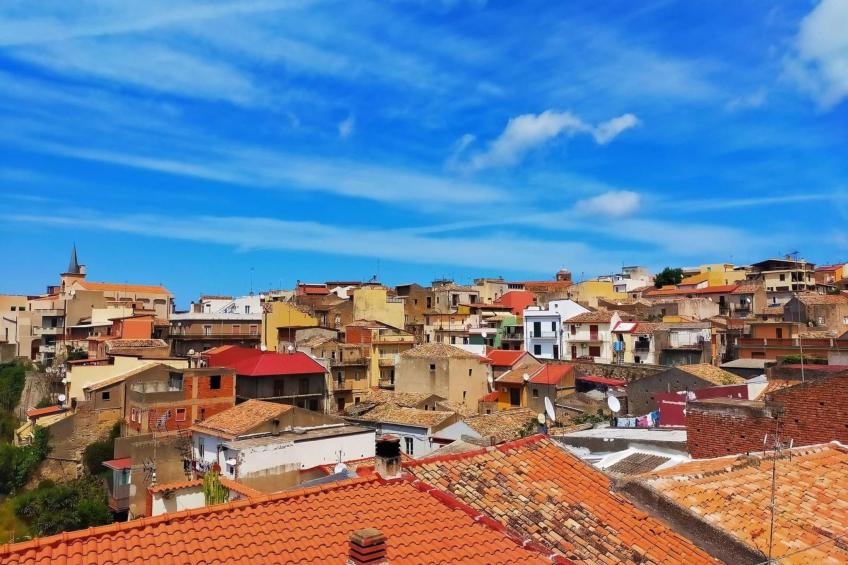 'The Garden - foto 32