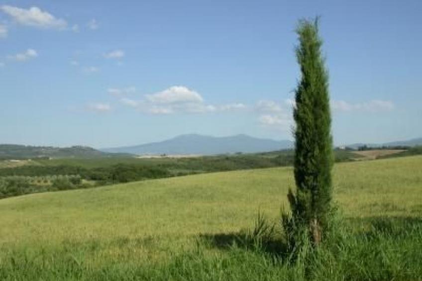 Casa Cardeta Ferienwohnung - foto 5