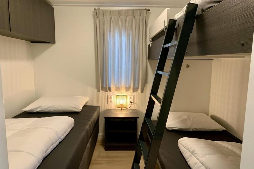 Campanula 224 - foto 23