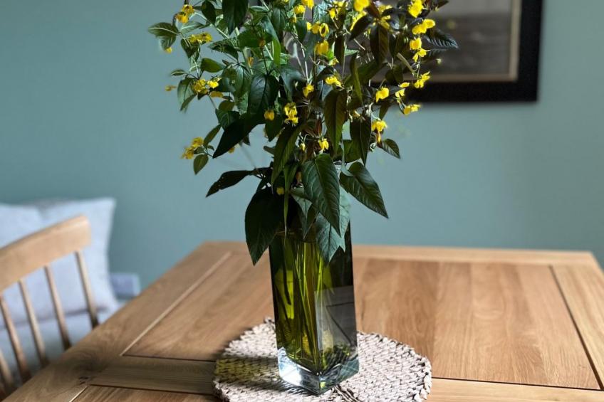 Rockpool Cottage - foto 7