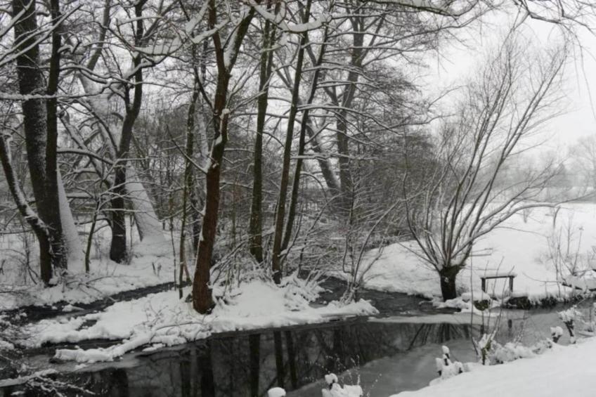 Ferienwohnung Gänsestall - foto 34