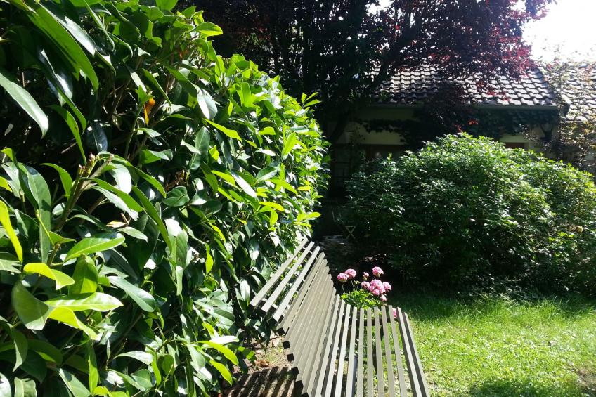 Versailles in Ruhe - foto 20