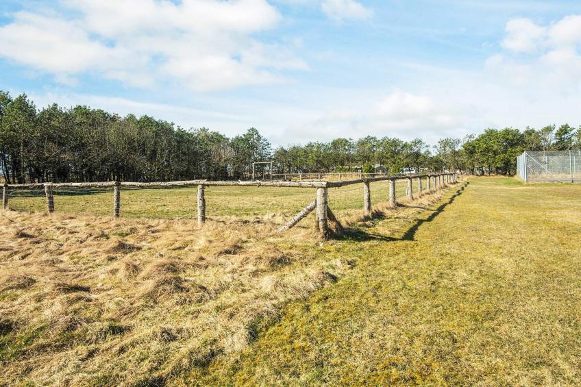 Skovhytte 4 personer - foto 17